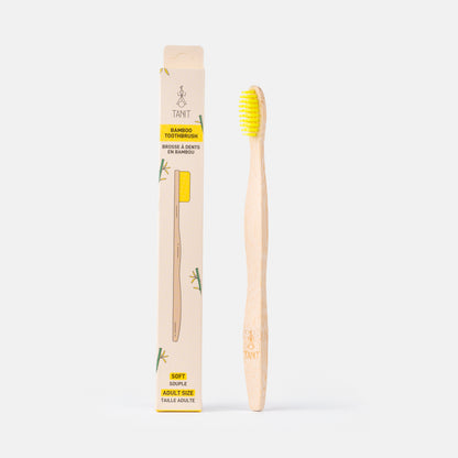 Caisse de 12 brosses à dents adultes souples en bambou 4 couleurs