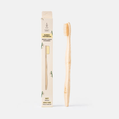 Caisse de 12 brosses à dents adultes souples en bambou 4 couleurs