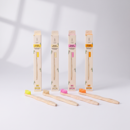 Caisse de 12 brosses à dents adultes souples en bambou 4 couleurs
