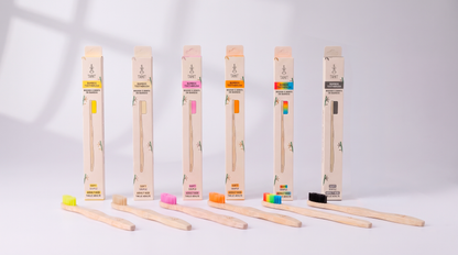 Caisse de 12 brosses à dents adultes souples en bambou 4 couleurs